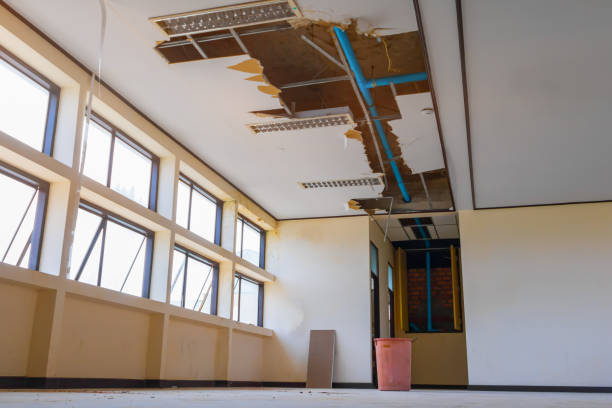 Best Basement water damage restoration  in Truman, MN