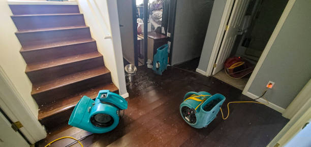 Best Local water damage restoration  in Truman, MN