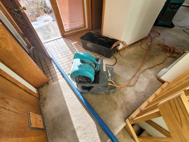 Best Local water damage restoration  in Truman, MN