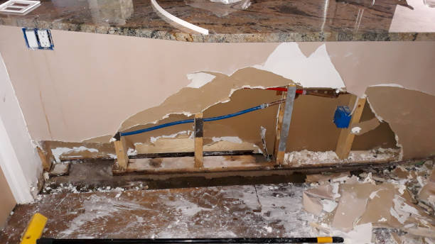 Best Flooded house restoration  in Truman, MN