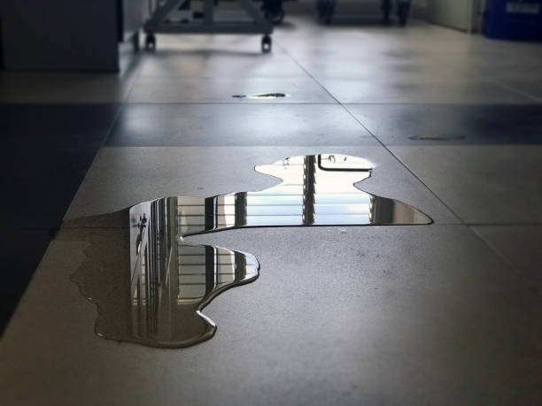 Best Carpet water damage restoration  in Truman, MN