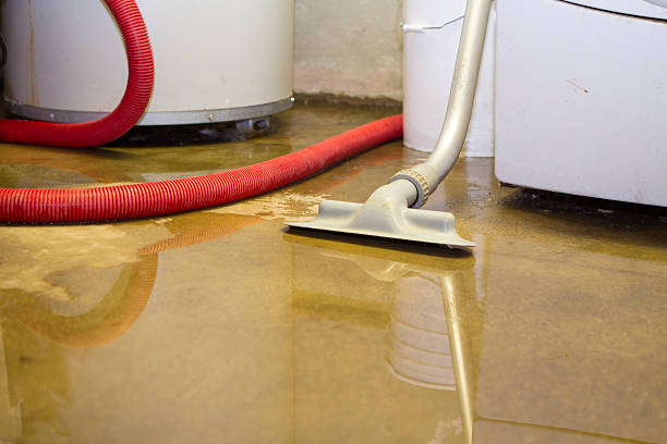 Sewage cleanup and water damage restoration in MN