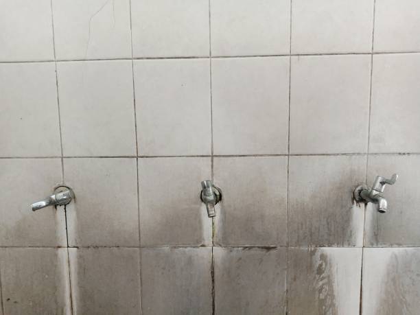 Trusted MN Water damage restoration Experts