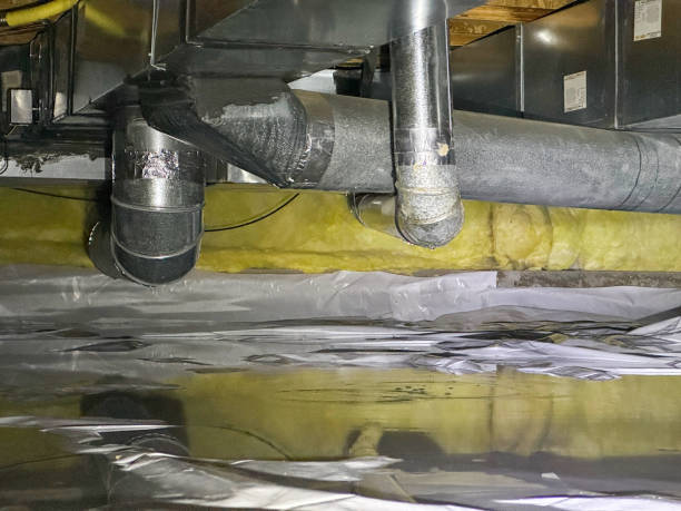 Best Mold removal after water damage  in Truman, MN