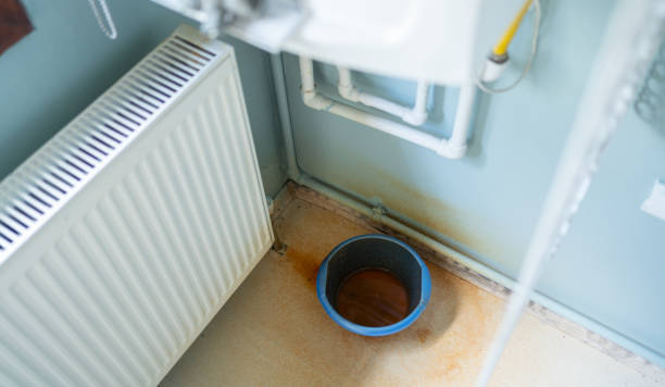 Best Flood restoration services  in Truman, MN