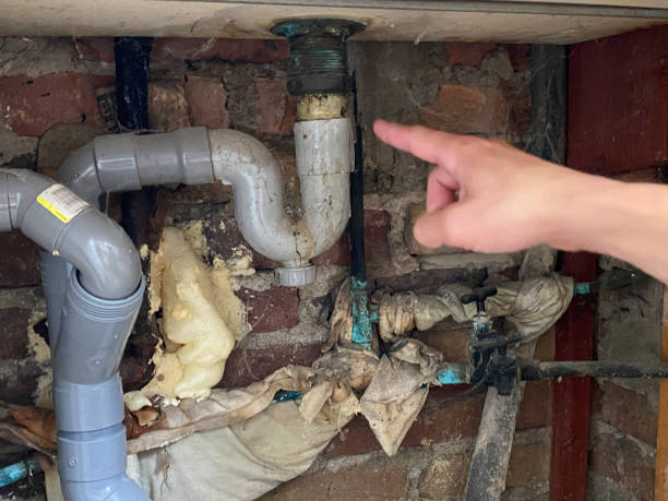 Best Fire Damage Restoration  in Truman, MN